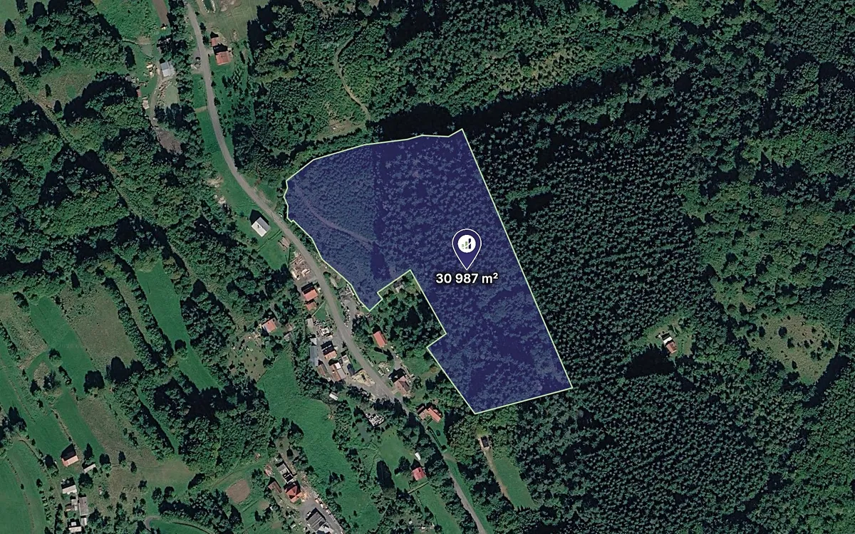 Prodej lesa 30987 m²